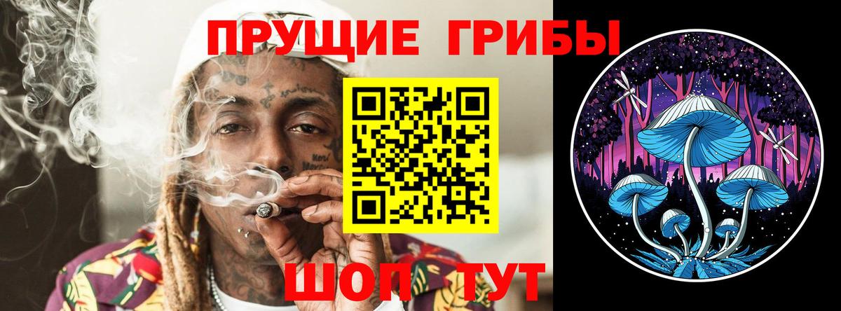 Галлюциногенные грибы мицелий Златоуст