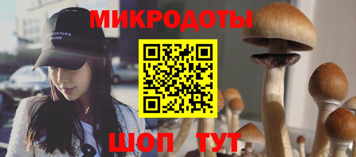 Златоуст  Псилоцибиновые грибы MAGIC MUSHROOMS  Вход с VPN  Псилоцибиновые грибы ЛСД 